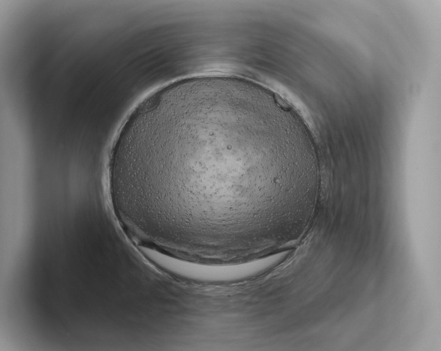 X0000100921480200807221105