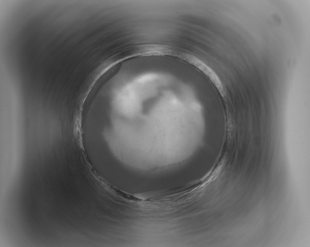 X0000100921481200807221105