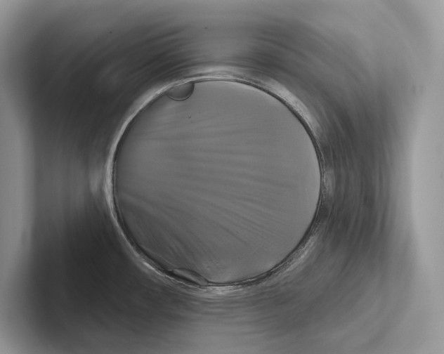 X0000100921482200807221105