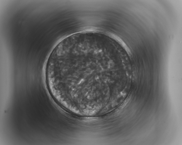 X0000100921483200807221105