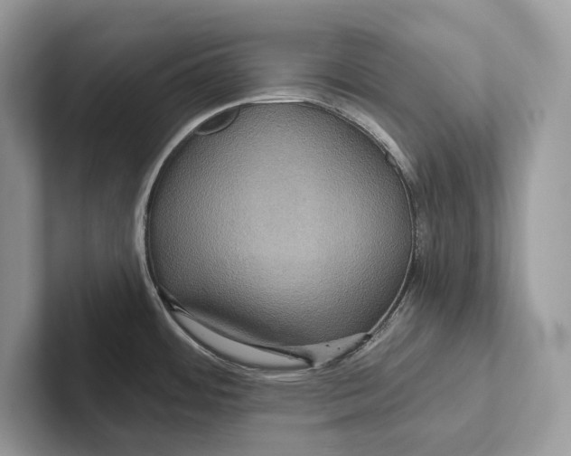 X0000100921484200807221105