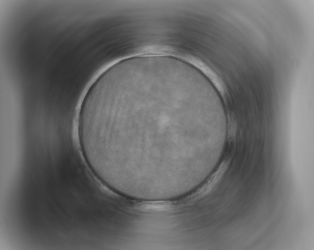X0000100921486200807221105