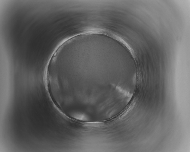 X0000100921487200807221105