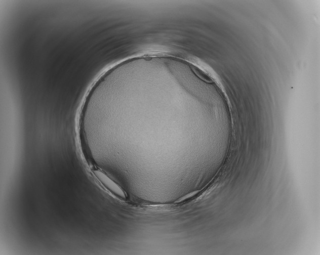 X0000100921488200807221105