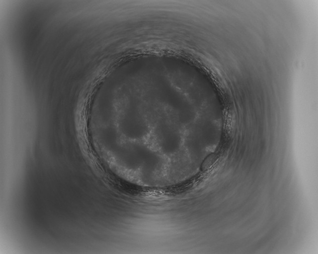 X0000100921489200807221105