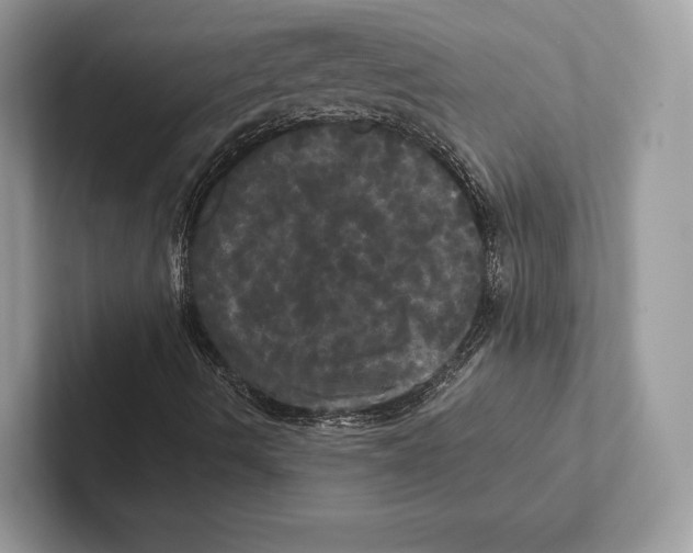 X0000100921490200807221105