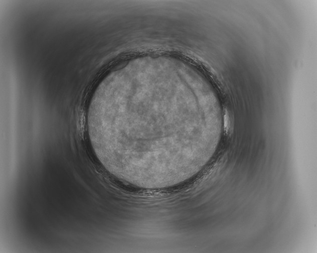 X0000100921492200807221105