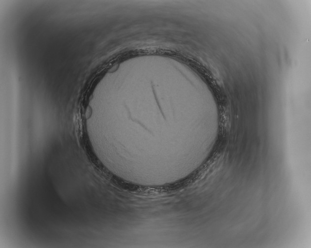 X0000100921493200807221105