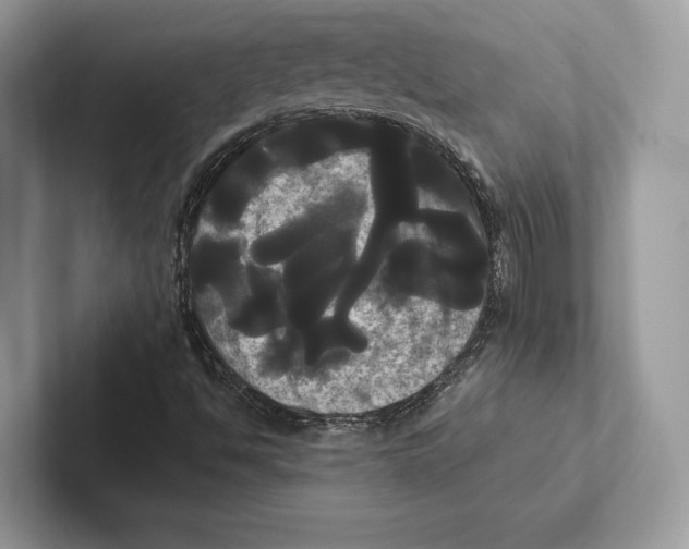 X0000100921494200807221105