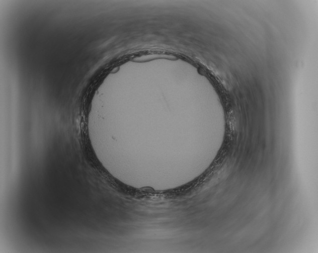 X0000100921495200807221105