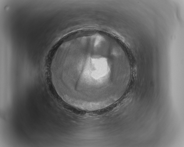 X0000100921496200807221105