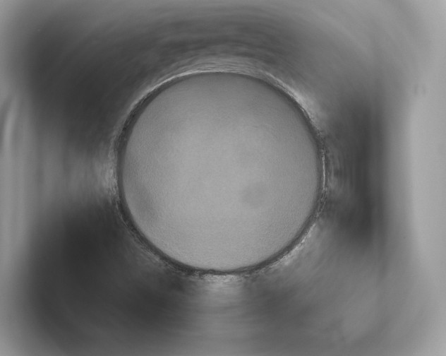 X0000100921498200807221105