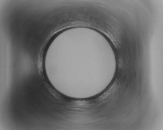 X0000100921499200807221105