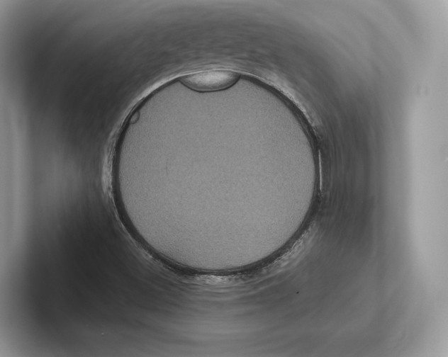 X0000100921500200807221105