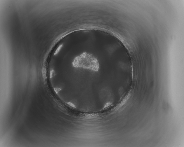 X0000100921501200807221105