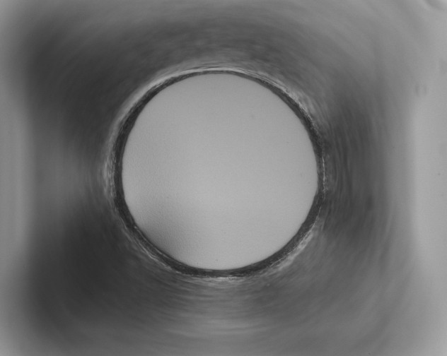X0000100921502200807221105