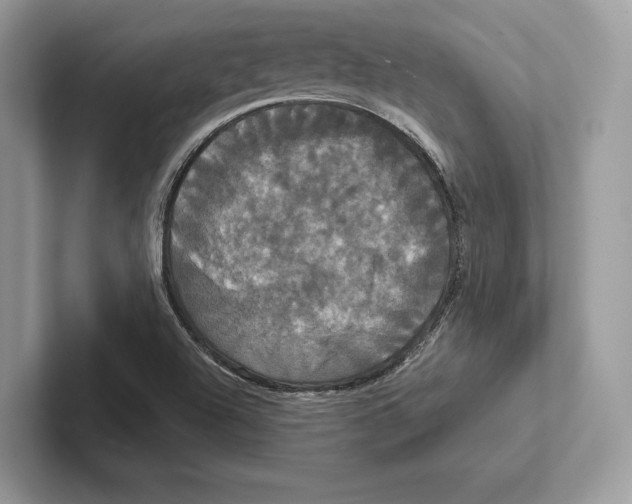 X0000100921504200807221105