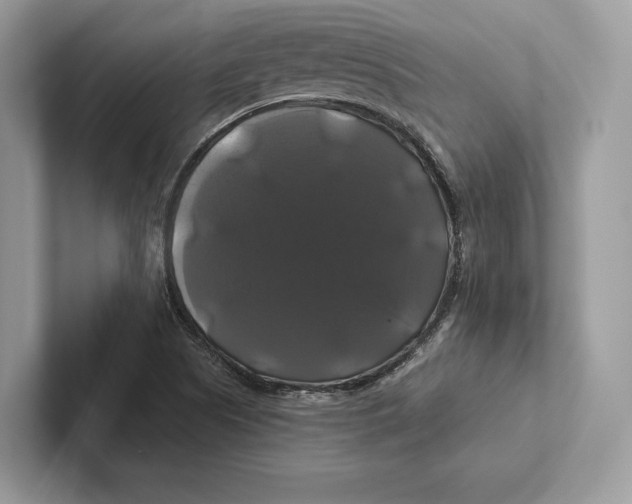 X0000100921505200807221105
