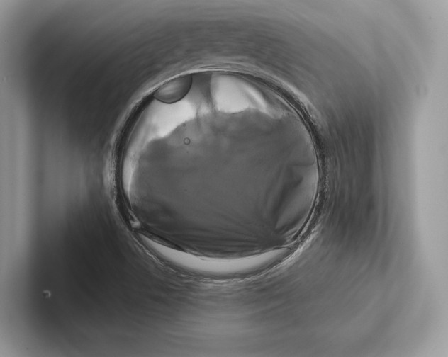 X0000100921506200807221105