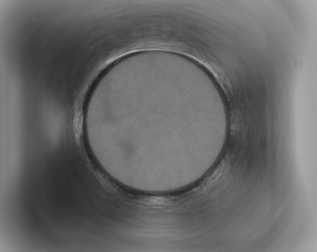 X0000100921507200807221105