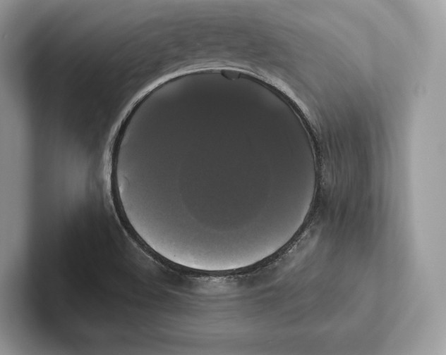 X0000100921508200807221105