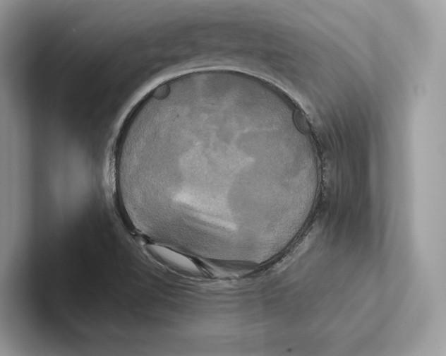 X0000100921510200807221105