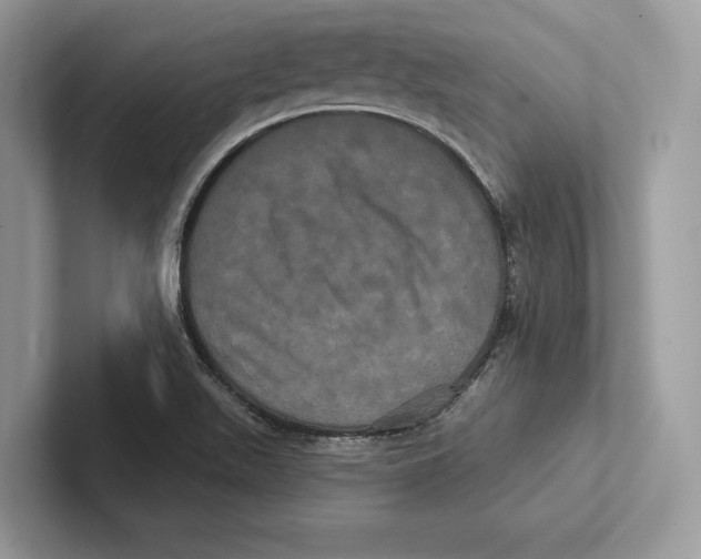 X0000100921511200807221105