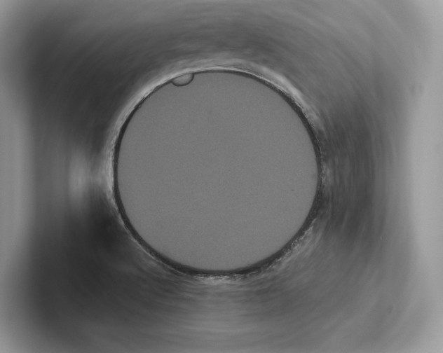 X0000100921512200807221105