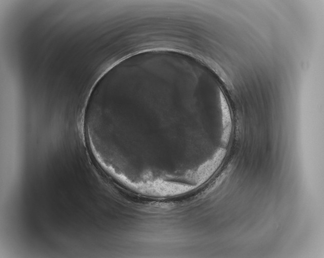 X0000100921513200807221105