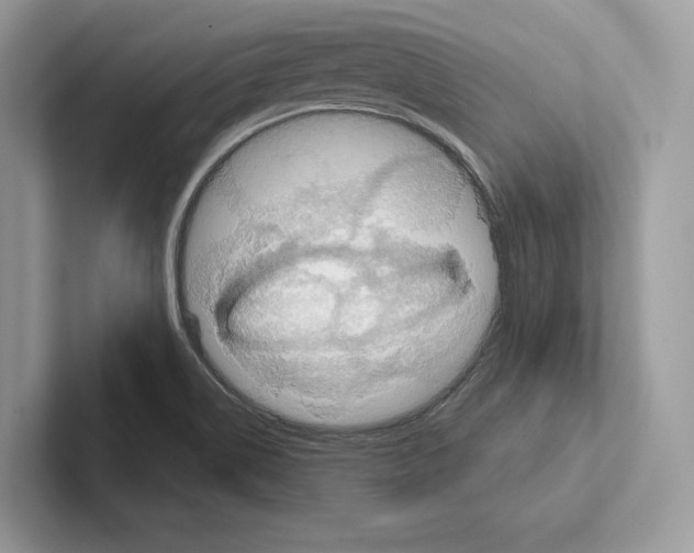 X0000100921514200807221105