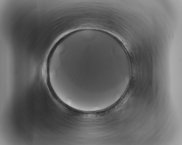 X0000100921515200807221105