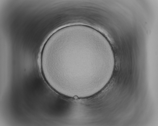 X0000100921516200807221105
