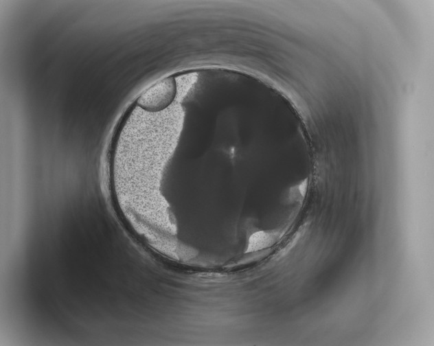 X0000100921517200807221105
