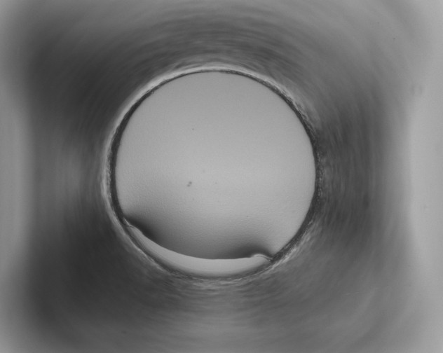 X0000100921518200807221105