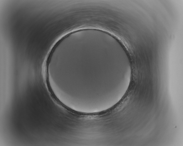 X0000100921519200807221105