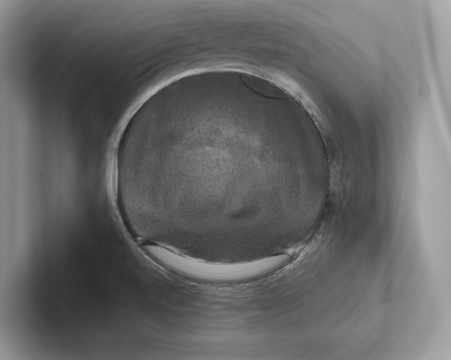 X0000100921520200807221105