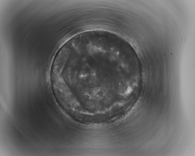 X0000100921521200807221105