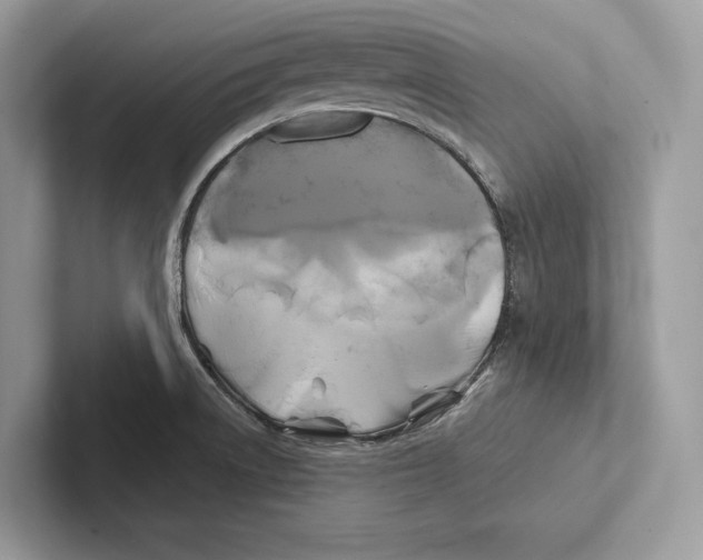 X0000100921522200807221105