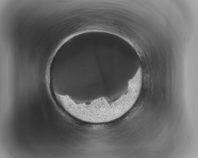 X0000100921523200807221105