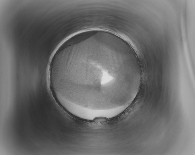 X0000100921524200807221105