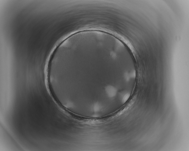 X0000100921525200807221105