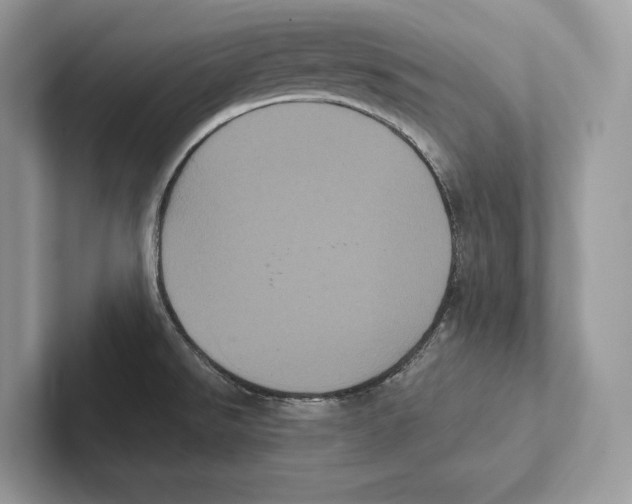 X0000100921526200807221105