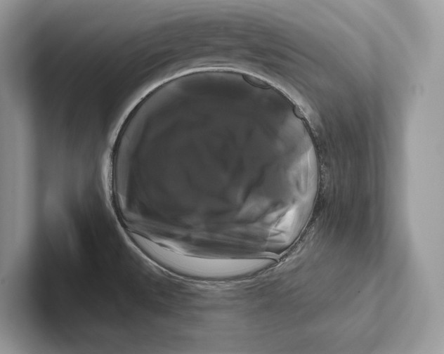 X0000100921527200807221105