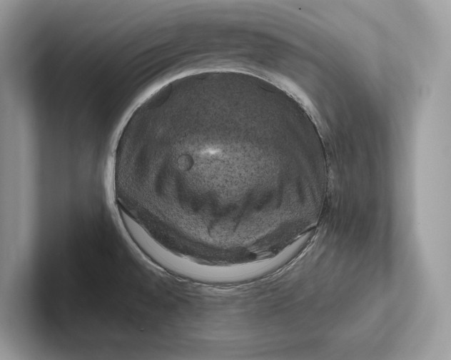 X0000100921528200807221105