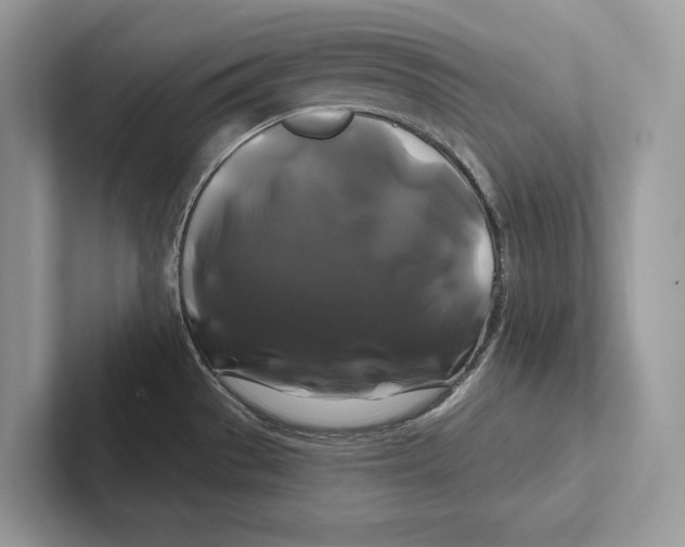 X0000100921529200807221105