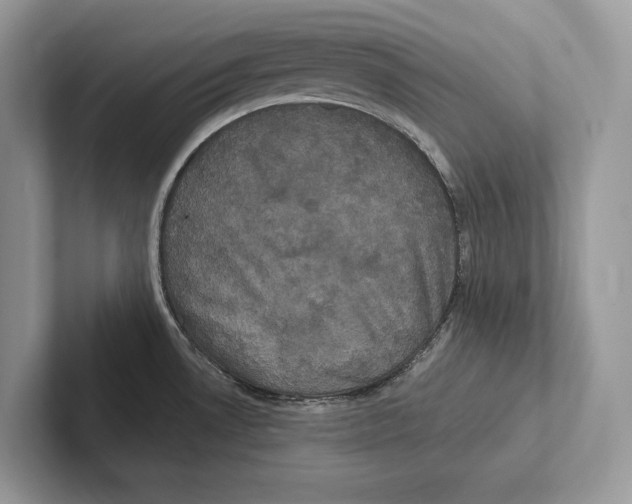 X0000100921530200807221105