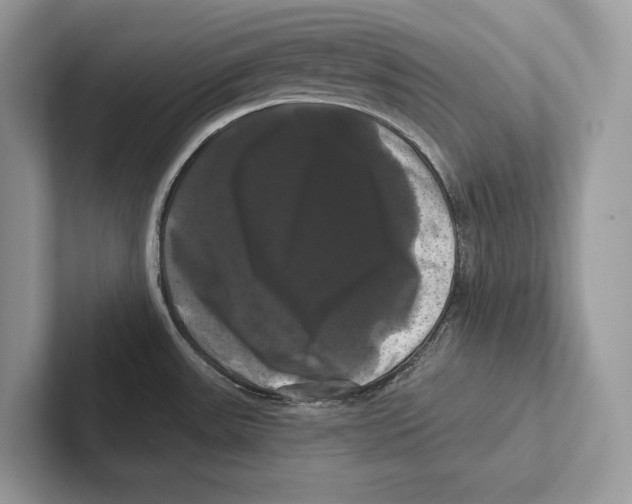 X0000100921531200807221105
