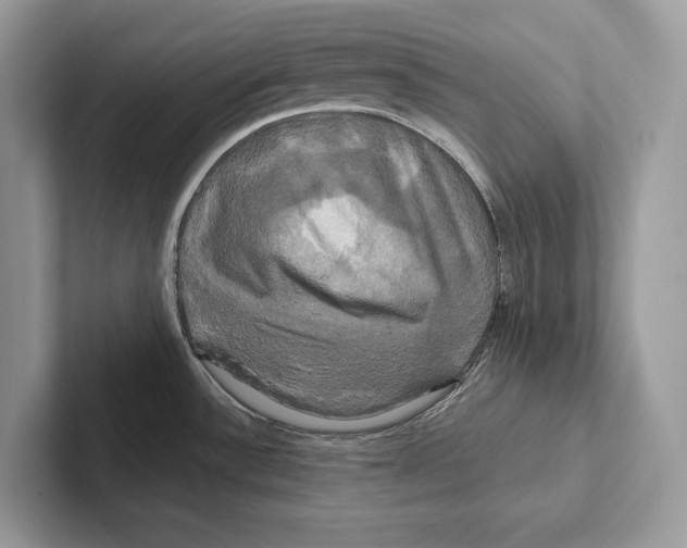 X0000100921532200807221105