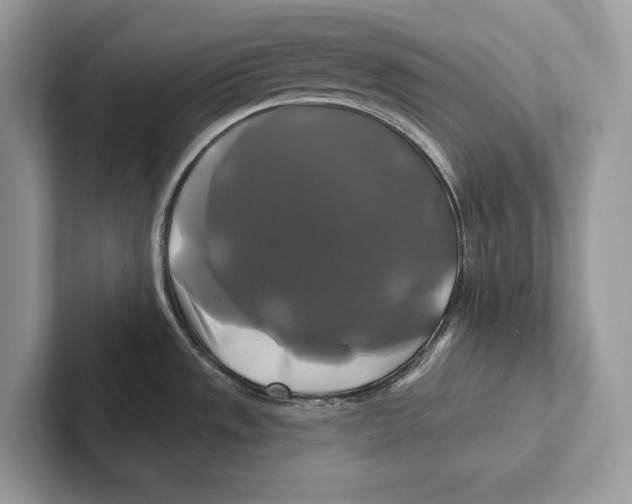 X0000100921533200807221105