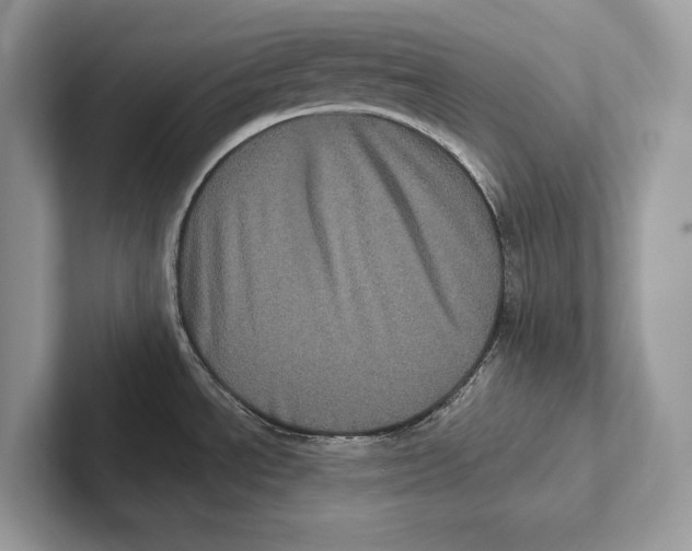 X0000100921534200807221105